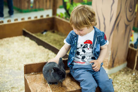 Boy play with the rabbits in the petting zooの写真素材
