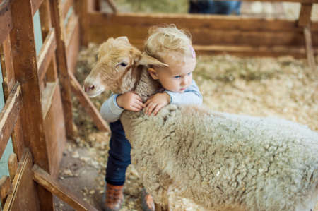 Toddler Girl hugging lamb on the farmの写真素材