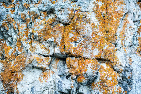The texture of the stones on the sea