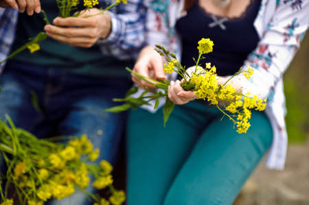 women's hands holding yellow flowers, care, agriculture, countryの写真素材