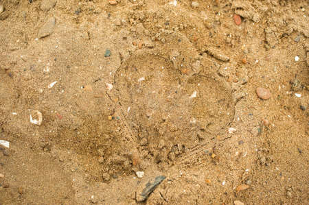 Heart embossed on the sand, love, summerの写真素材