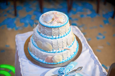 White cake in a nautical theme with seashells and starsの写真素材