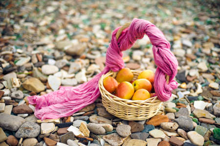 Basket with apples with pink ribbon on the rocky beachの写真素材