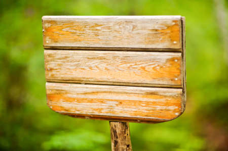 Wooden signboard in the forest for textの写真素材