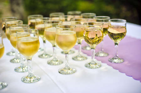 Glasses with champagne for the guests at the weddingの写真素材