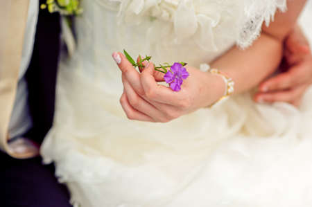 Purple flower in the hand of the brideの写真素材