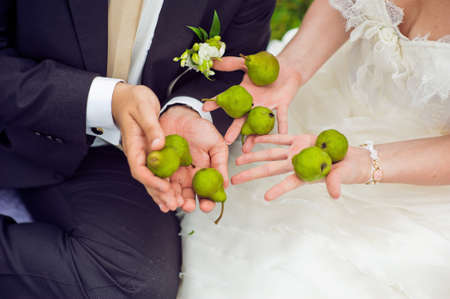 Pears in the hands of the bride and groomの写真素材