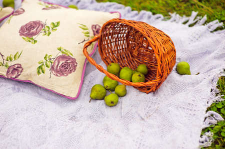 Pears spilled from the basket on purple plaidの写真素材