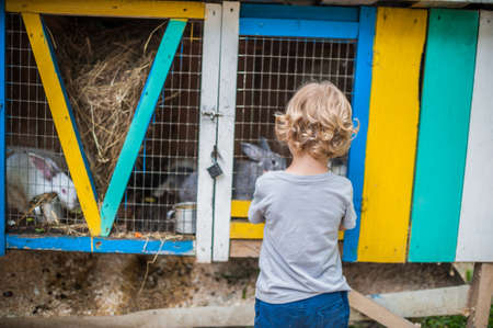 Toddler boy play with the rabbits in the petting zooの写真素材