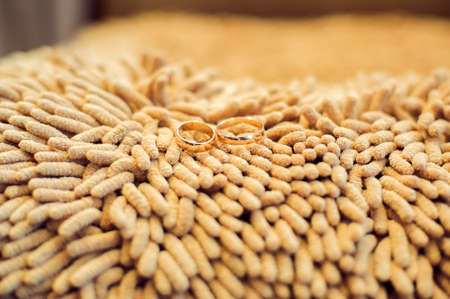 Wedding rings on a shaggy orange fabricの写真素材