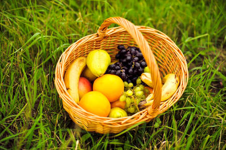 Fruit basket on the green grass. Oranges, pears, bananas grapesの写真素材