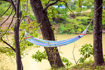 Hammock hanging in the woods by the lakeの写真素材