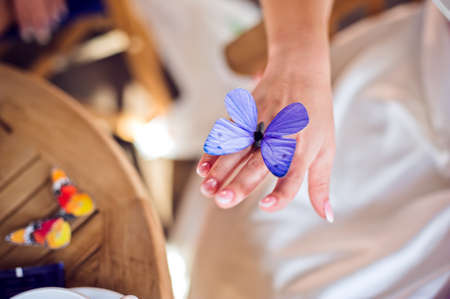 Bride's hand with a purple butterfly Wedding conceptの写真素材