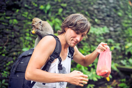 The monkey climbed to a man, Bali, Indonesia