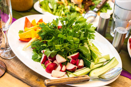 Fresh vegetables on a plate: radishes, cucumbers, peppers and herbsの写真素材