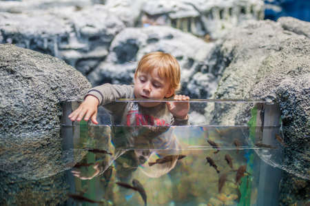 Blonde toddler boy watches fishes in aquariumの写真素材
