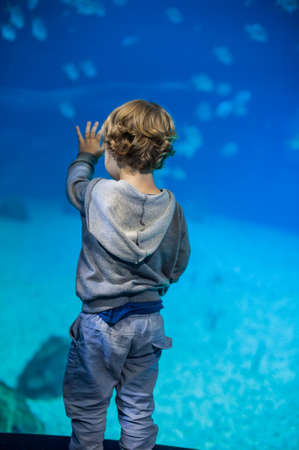 Blonde toddler boy watches fishes in aquariumの写真素材