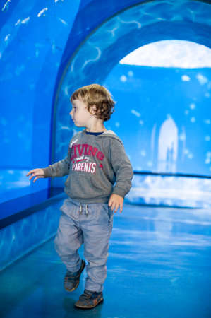 Blonde toddler boy watches fishes in aquariumの写真素材