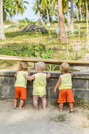 Three baby Toddler looking through fence on the hens and roosters in the henhouse. The yellow shirts. Two boys and one girlの写真素材