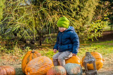 A young boy proudly poses with his hand resting on a pumpkin he has picked out at a farm during the autumn season. Filtered for a retro, vintage look.の写真素材