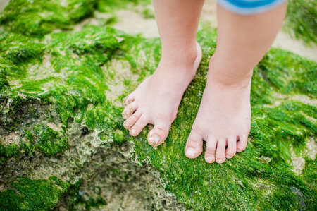 Children's feet on the seaweed on the beachの写真素材