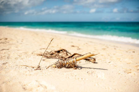 Beautiful white sand beach of Boracay, Philippinesの写真素材