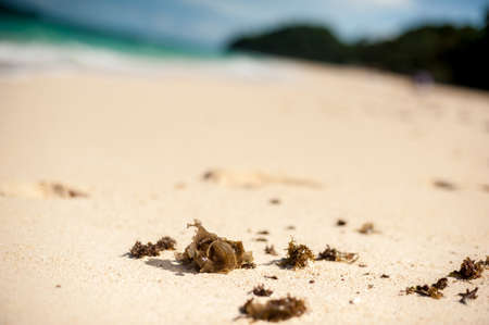 Beautiful white sand beach of Boracay, Philippinesの写真素材