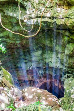 The light shines in the cave with bats