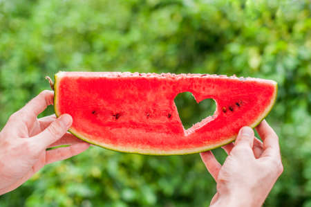 Piece of watermelon with heart at the backdrop of greenery. Space for text. Flat lay composition. love concept. Valentine's Day Conceptの写真素材