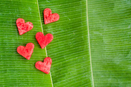 watermelon hearts at the background of banana leaves. Space for text. Flat lay composition. love concept. Valentine's Day Conceptの写真素材