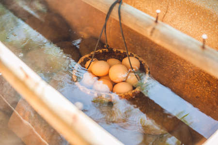 Hot natural underground thermal water is used to boil chicken eggs in some volcanic activity area. The eggs that you can cook in hot water for a hot springの写真素材