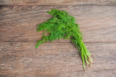 bunch of fresh organic dill on a rustic wooden background.の写真素材
