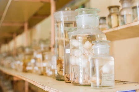 Marine animals preserved alcohol in glass tubes. Ichthyology conceptの写真素材