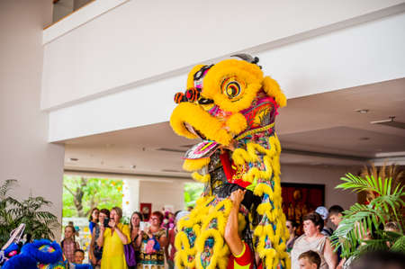 Lunar new year Asian dragon coming vietnamese new year.