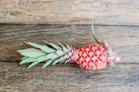 organic pink pineapple on the old wooden background. tropical fruits conceptの写真素材