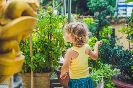 Boy tourist in Buddhist temple in Vietnam Nha Trang, Traveling with children conceptの写真素材