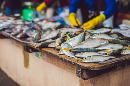 Fresh seafood on the Vietnamese market. Asian food concept.の写真素材