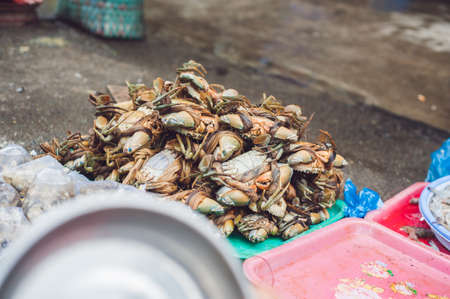 Fresh seafood on the Vietnamese market. Asian food concept.の写真素材