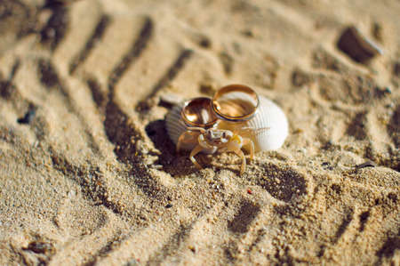 Small crab and engagement rings on the beach. Wedding in the tropics concept.の写真素材