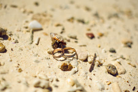 Small crab and engagement rings on the beach. Wedding in the tropics concept.の写真素材