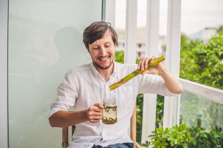 Cane sugar concept. The man jokingly eating sugar cane and drinks tea.