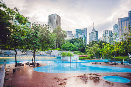 Green park with tropical plants on the background of the city skyline. Ecology concept.の写真素材
