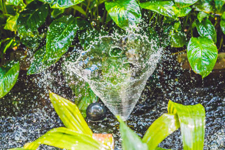 Small fountain in quiet pond. summer day in the park.の写真素材