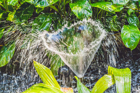 Small fountain in quiet pond. summer day in the park.の写真素材