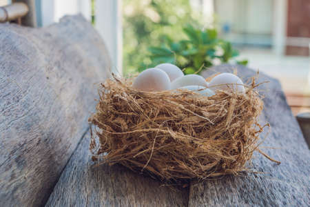 Easter white eggs in the nest. Easter concept.の写真素材