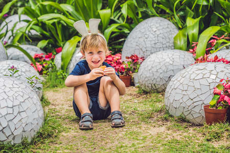 Cute little kid boy with bunny ears having fun with traditional Easter eggs hunt, outdoors