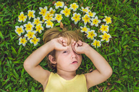 beautiful little boy lies on meadow with frangipani.の写真素材