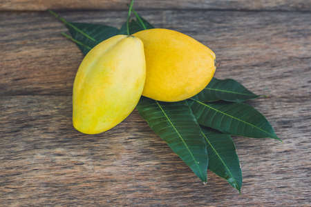 Mango and mango leaves on an old wooden background.の写真素材