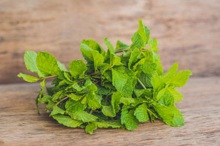 Fresh mint on wooden table copy space. Selective focus.