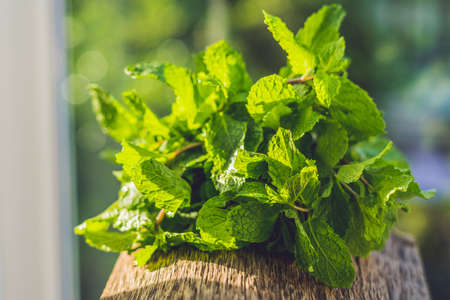 Fresh mint on wooden table copy space. Selective focus.の写真素材
